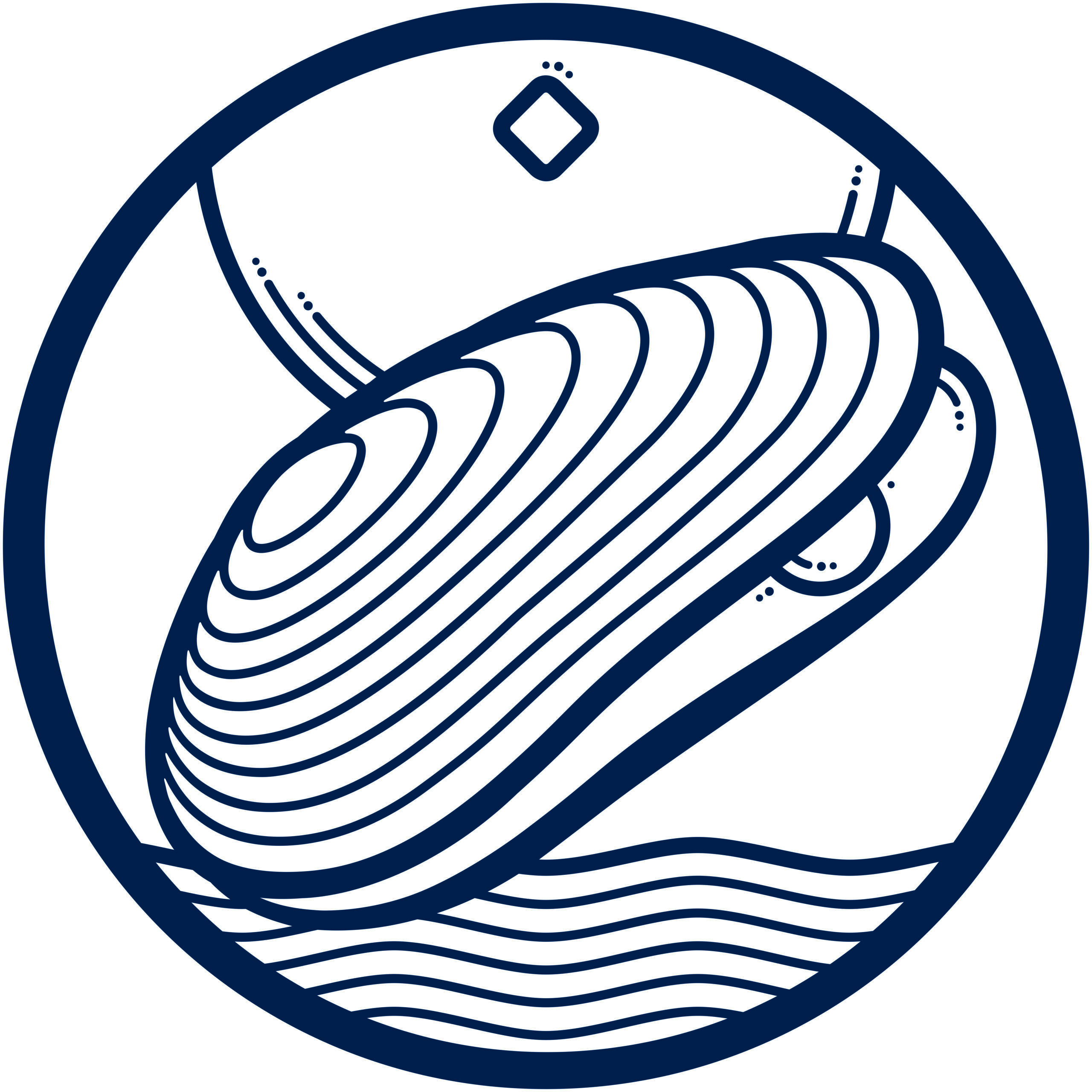 DiMuSA